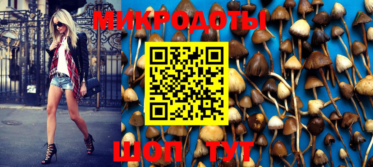 Галлюциногенные грибы Psilocybine cubensis Барнаул