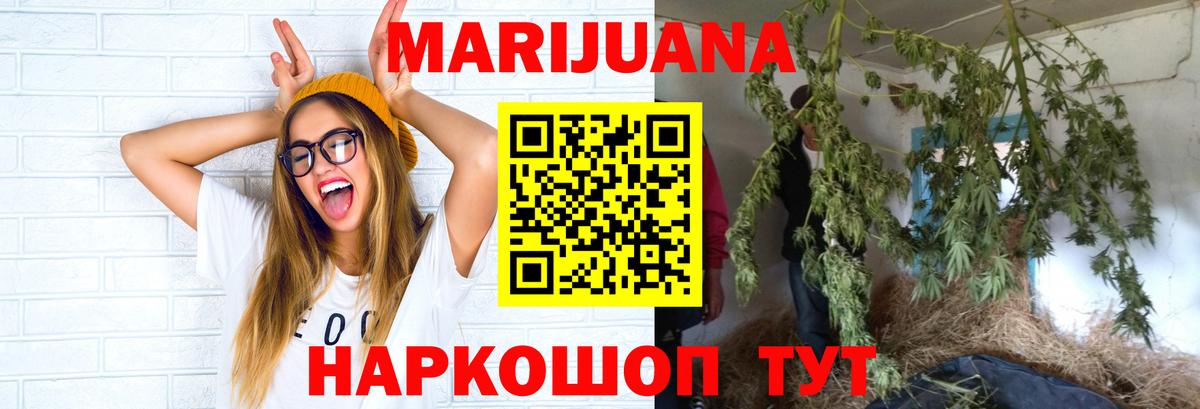Бошки марихуана планчик  Канабис White Widow  Вход с VPN  Барнаул  Канабис гибрид  Канабис THC 21% 